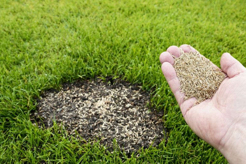 Grass Repair detail