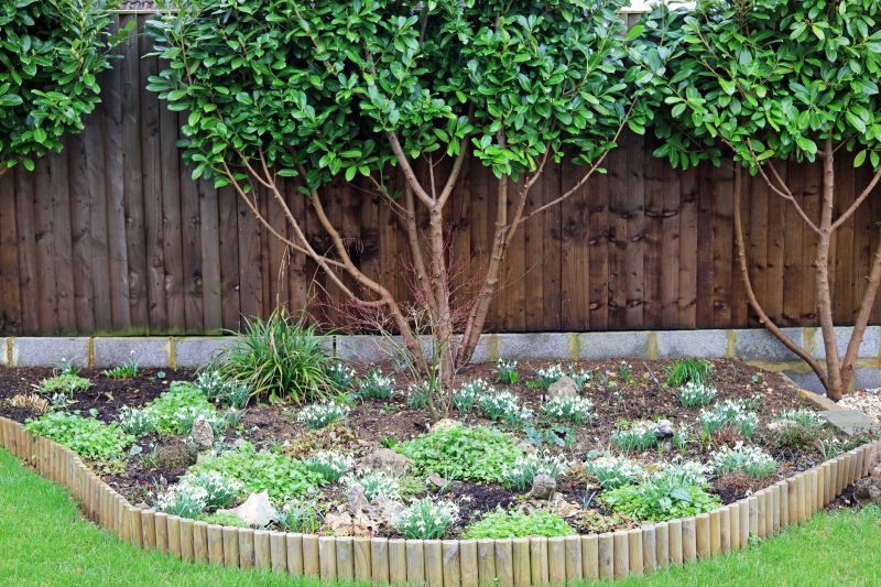 Tree Edging Installation