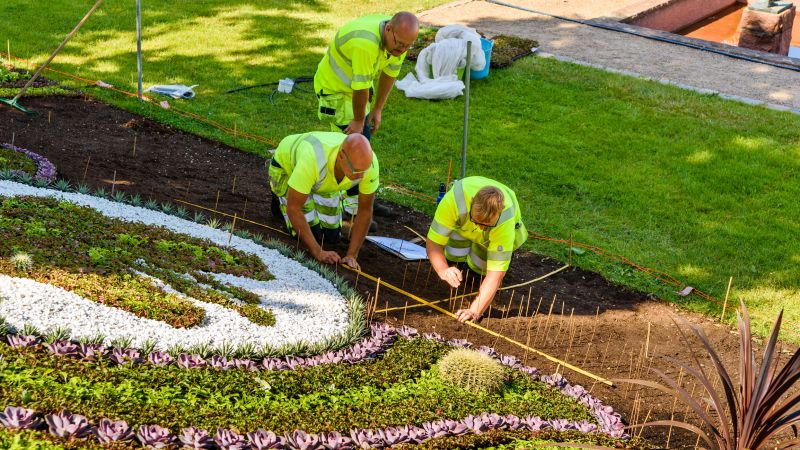 Hardscape Installation Crew