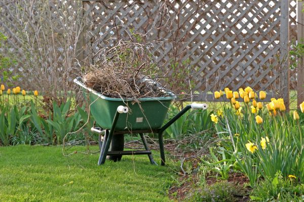 Flower Bed Cleanup Service in Glenview