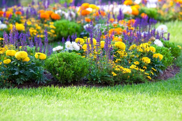 Flower Bed Maintenance in Glenview