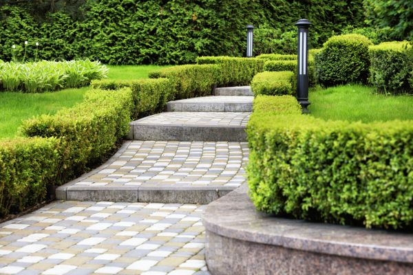 Backyard Remodeling in Glenview