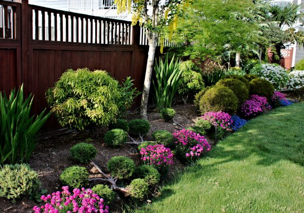 Garden Care Service in Glenview