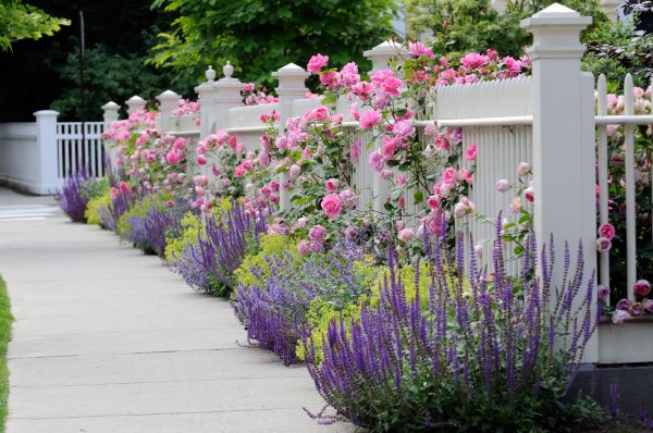Garden Handyman Service in Glenview