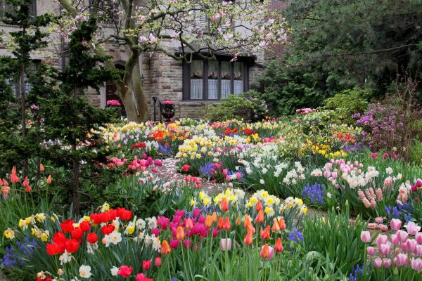Garden Maintenance Service in Glenview