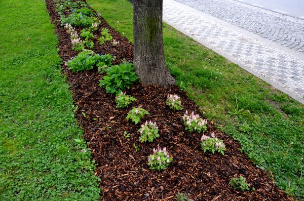 Mulch Replacement Service in Glenview