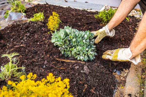 Weeding And Mulching in Glenview