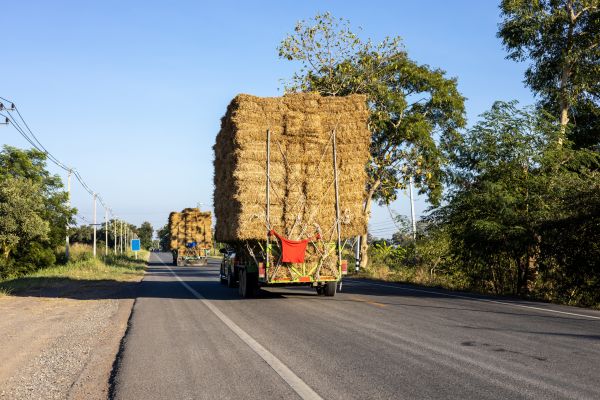 Pine Straw Delivery in Glenview