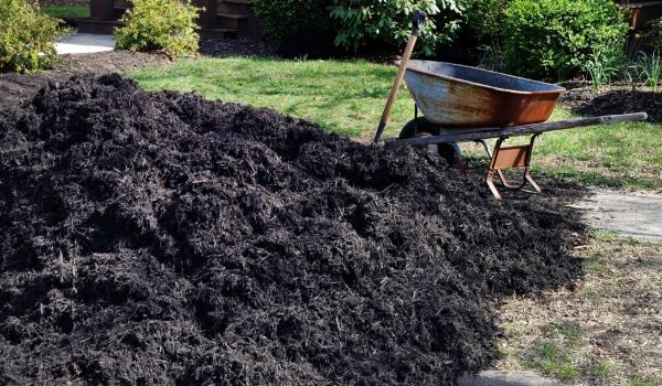 Black Mulch Delivery in Glenview