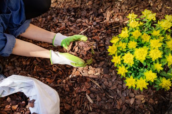 Garden Mulching in Glenview