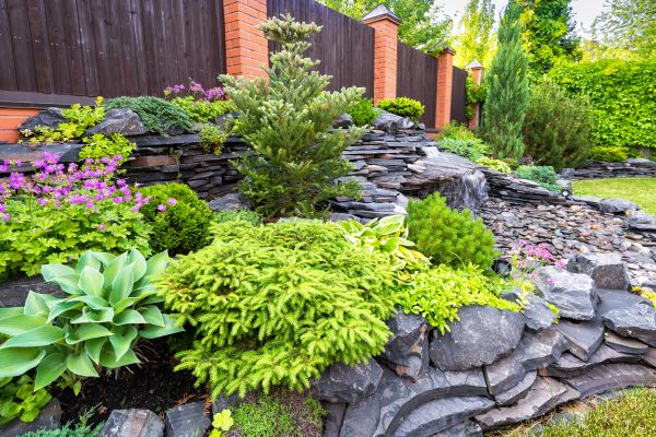 Landscape Remodeling in Glenview