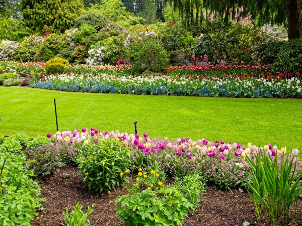 Residential Landscape Design in Glenview