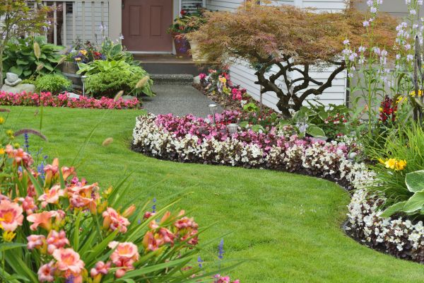 Perennial Landscaping in Glenview