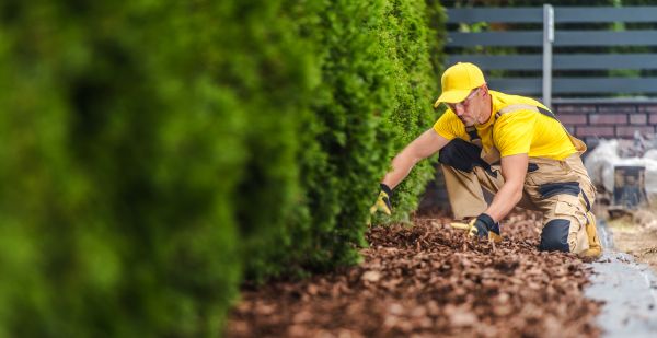 Cypress Mulch Installation in Glenview