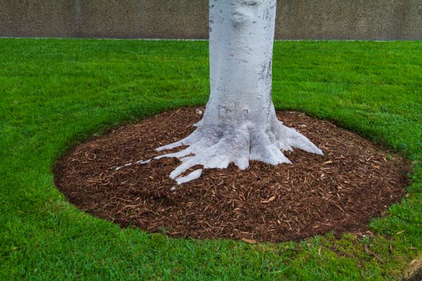 Brown Mulch Installation in Glenview