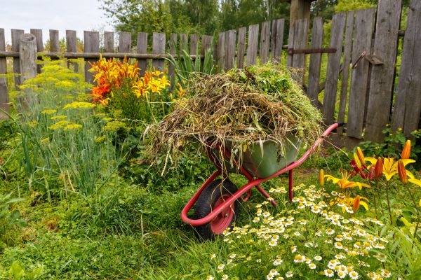 Garden Cleanup Service in Glenview