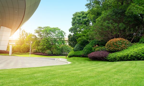 Business Landscape Design in Glenview