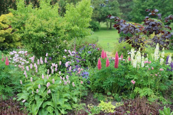 Flower Bed Planting in Glenview