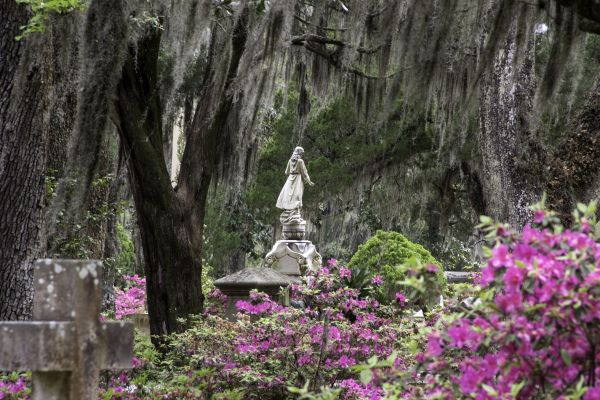 Cemetery Landscaping in Glenview
