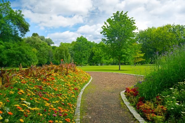 Park Landscaping in Glenview