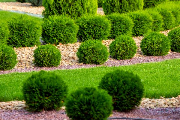Bush Installation in Glenview