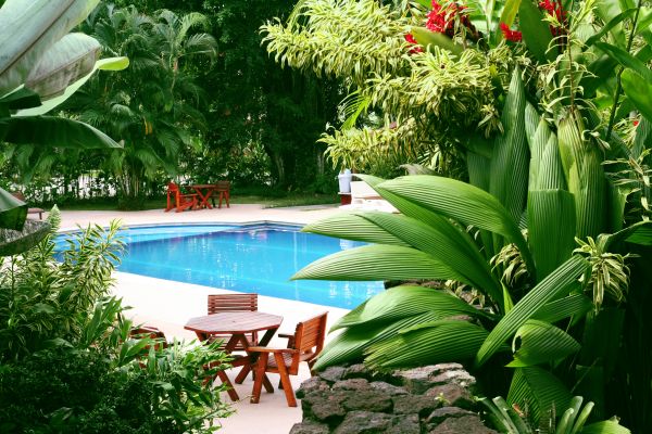 Pool Area Landscaping in Glenview