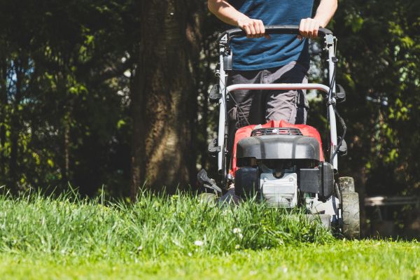 Garden Trimming Service in Glenview