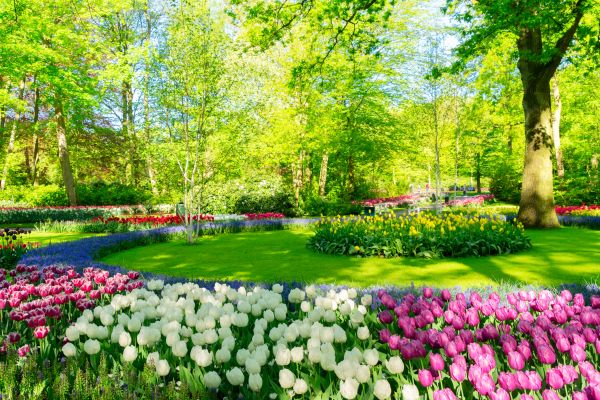 Flower Landscaping in Glenview