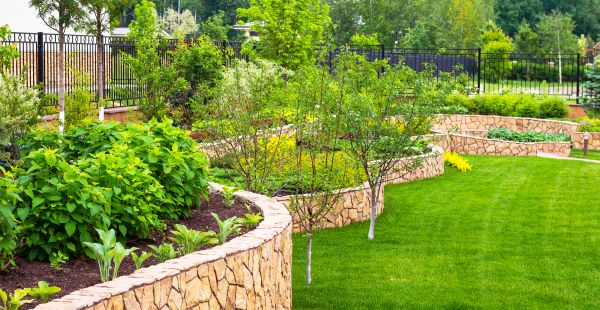Yard Makeover Service in Glenview