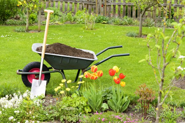 Spring Yard Renovation in Glenview