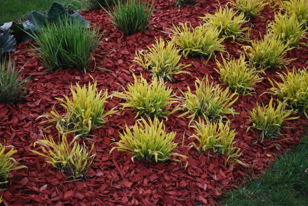 Red Mulch Installation in Glenview