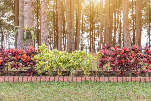 Small Garden Landscaping in Glenview