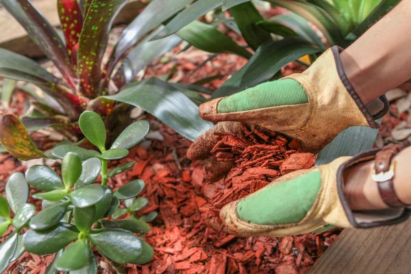 Residential Mulching in Glenview